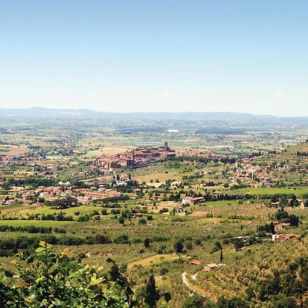 Il Marinocchio Di Malatesti Arezzo Buitenkant foto
